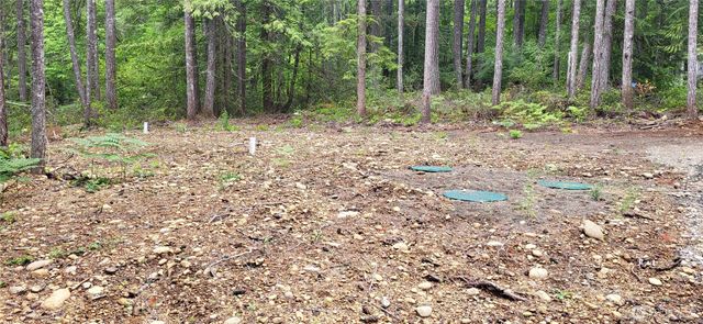 0 N Mt Jupiter Drive, Hoodsport, WA 98548