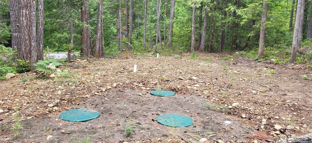 0 N Mt Jupiter Drive, Hoodsport, WA 98548