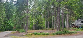0 N Mt Jupiter Drive, Hoodsport, WA 98548