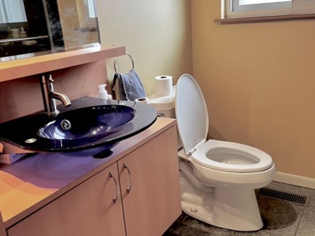 807 S Owen Street, Mount Prospect, IL 60056