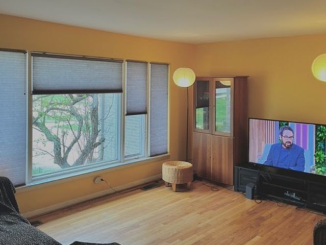 807 S Owen Street, Mount Prospect, IL 60056