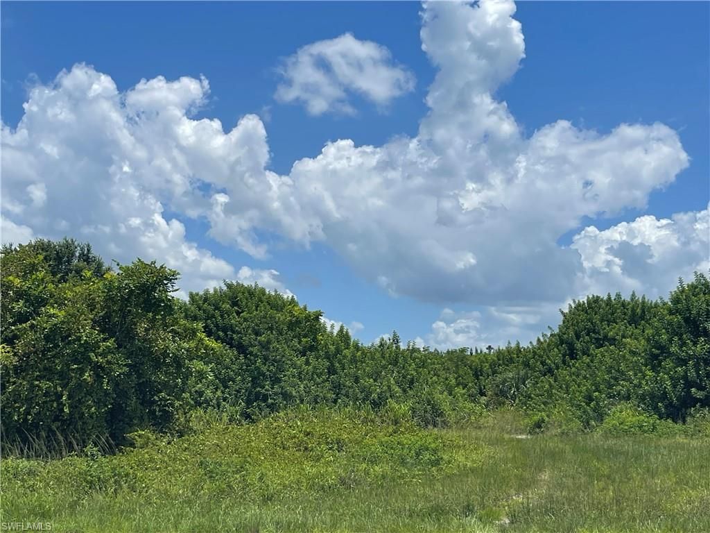 2703 NE 22nd PL, CAPE CORAL, FL 33909 — exterior