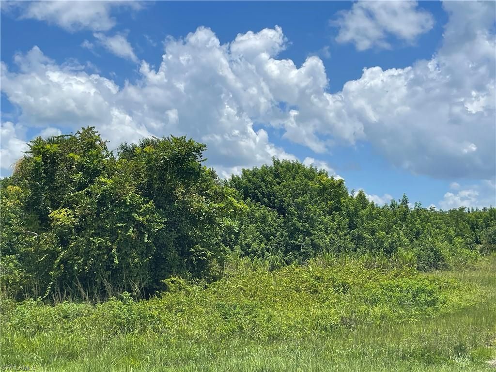 2703 NE 22nd PL, CAPE CORAL, FL 33909 — photo 4