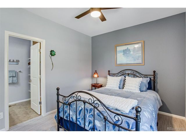 4038 Wild Elm Way, Fort Collins, CO 80528