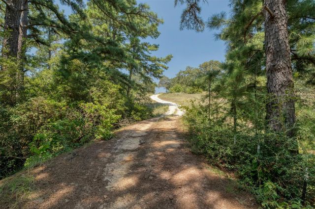 234 Sandy RD, Rosanky, TX 78953