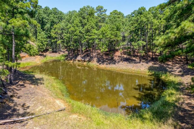 234 Sandy RD, Rosanky, TX 78953