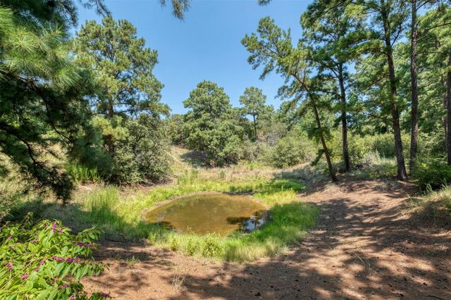 234 Sandy RD, Rosanky, TX 78953