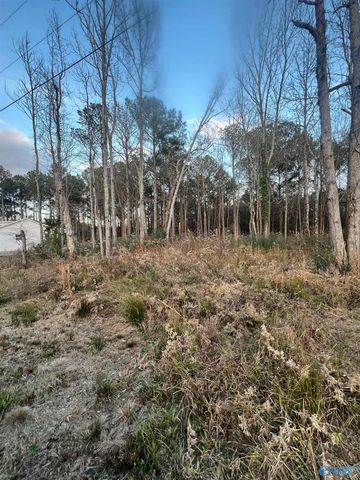 8 Junkins Road, Guntersville, AL 35976