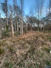 8 Junkins Road, Guntersville, AL 35976