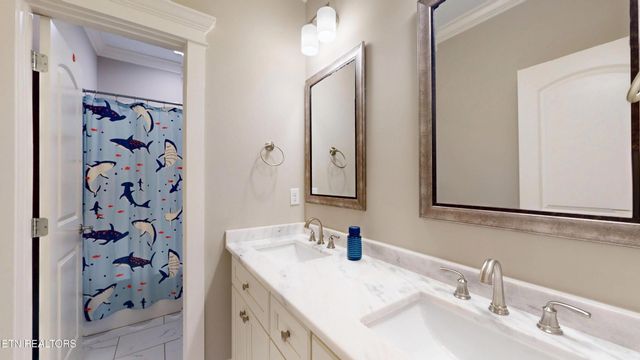 7913 Yellow Jasmine Lane, Knoxville, TN 37919