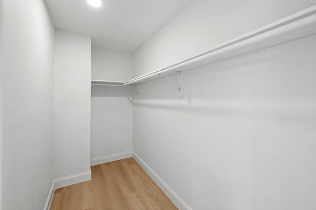 3722 Blue Cat WAY, Round Rock, TX 78665