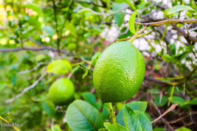 4082 Avenida Verano, Thousand Oaks, CA 91360