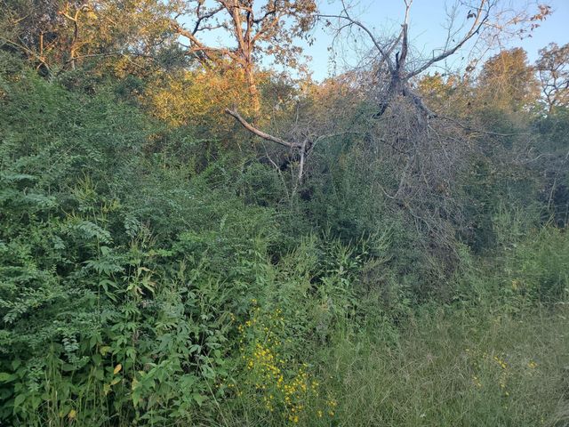 0 N Council Drive, Hempstead, TX 77445