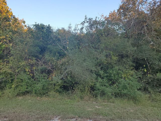 0 N Council Drive, Hempstead, TX 77445