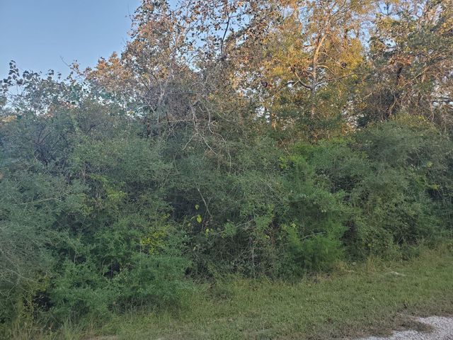 0 N Council Drive, Hempstead, TX 77445