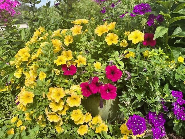 S74W14303 Settler WAY, Muskego, WI 53150