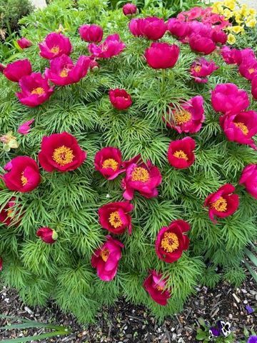 S74W14303 Settler WAY, Muskego, WI 53150