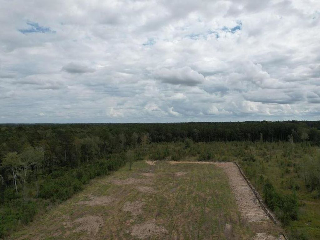 TBD Terrell's Bay Rd., Centenary, SC 29519 — photo 2