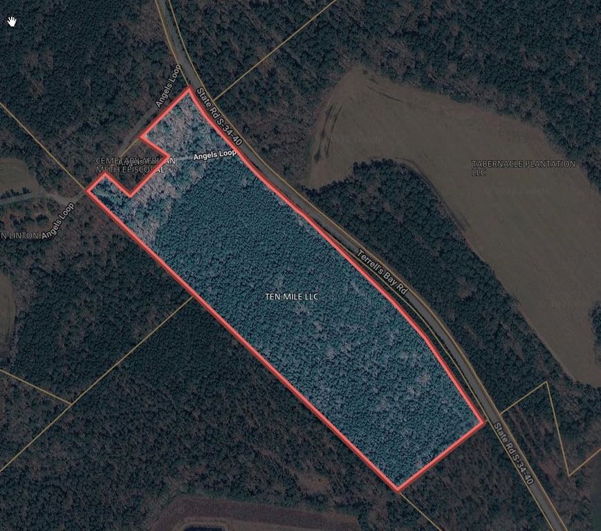 TBD Terrell's Bay Rd., Centenary, SC 29519 — photo 3