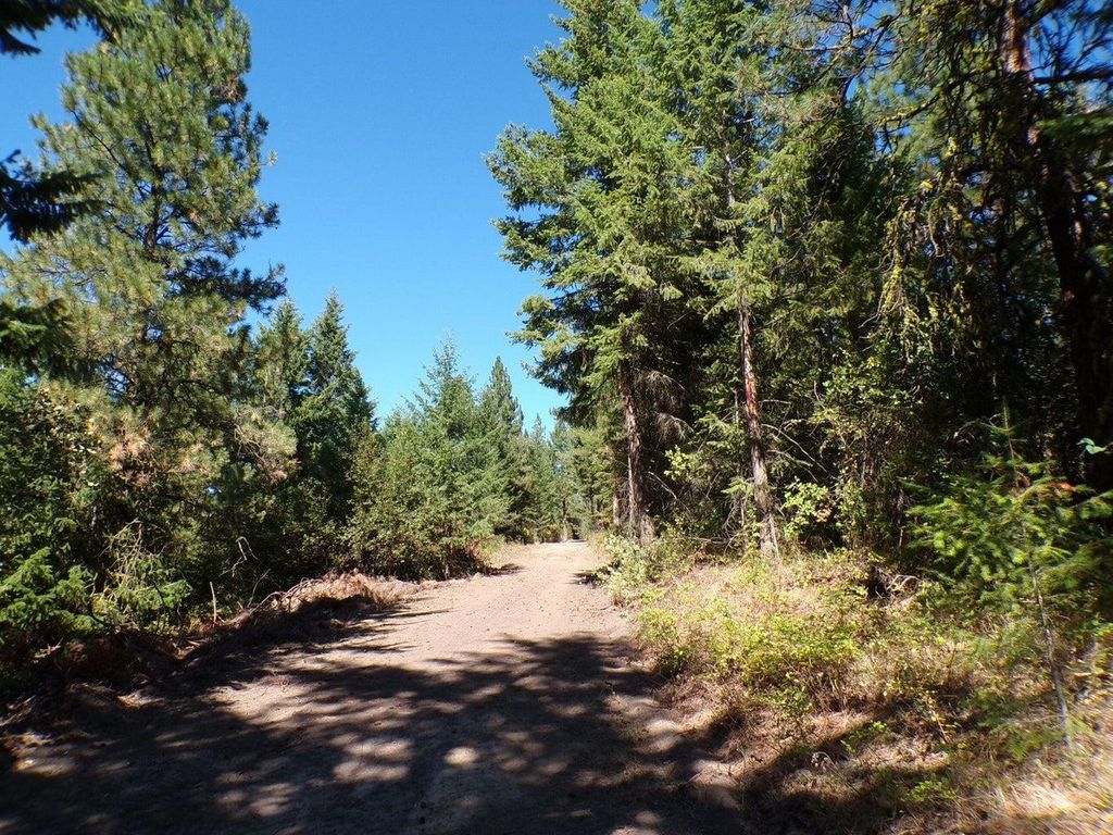 4XX A Buffy Ln, Inchelium, WA 99138 photo 2