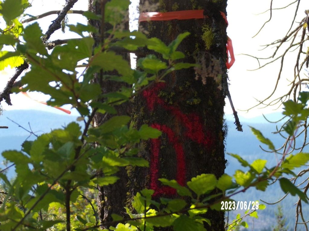 4XX A Buffy Ln, Inchelium, WA 99138 photo 4