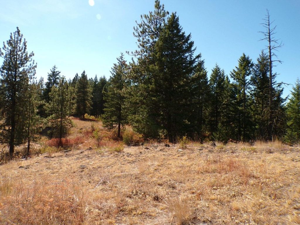 4XX A Buffy Ln, Inchelium, WA 99138 photo 7