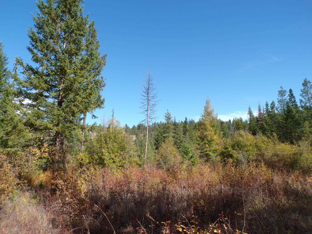 4XX A Buffy Ln, Inchelium, WA 99138 photo 9