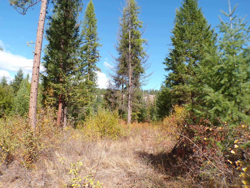 4XX A Buffy Ln, Inchelium, WA 99138 photo 10