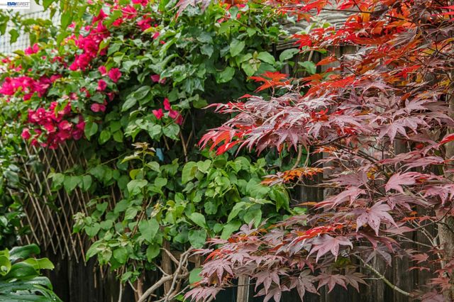 1129 Clarke Ln, Alameda, CA 94502