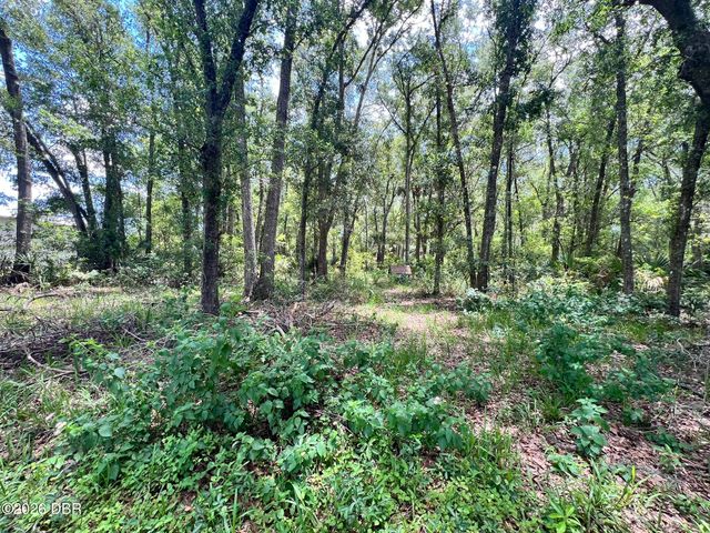 201 S Gaines Street, Oak Hill, FL 32759