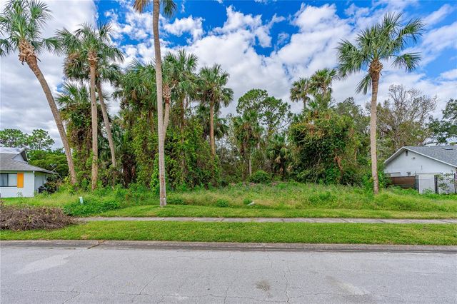 TBD TUMBLEWEED TRAIL, Port Orange, FL 32127