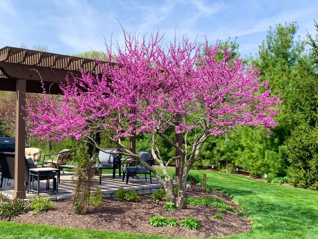 40W898 Fox Creek Drive, St. Charles, IL 60175