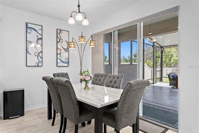 10813 WINDSWEPT GARDEN WAY, Tampa, FL 33647