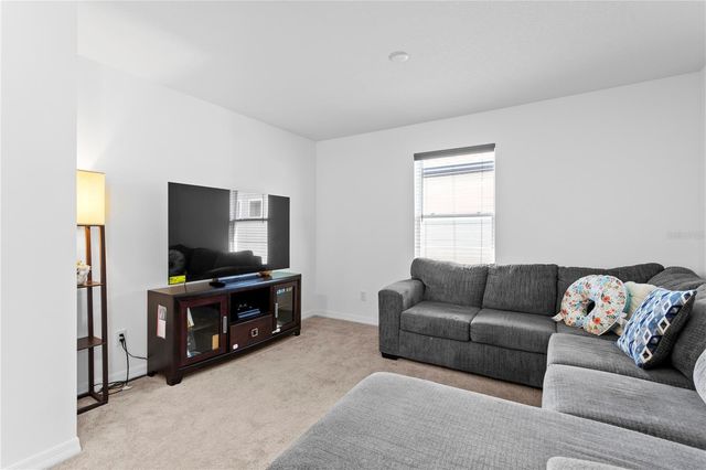 10813 WINDSWEPT GARDEN WAY, Tampa, FL 33647