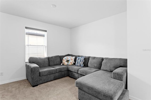 10813 WINDSWEPT GARDEN WAY, Tampa, FL 33647