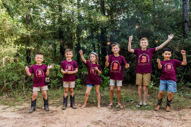 26120 North Skylight Brook Circle, Montgomery, TX 77316