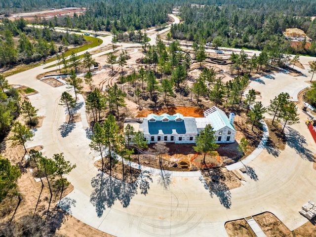 26120 North Skylight Brook Circle, Montgomery, TX 77316