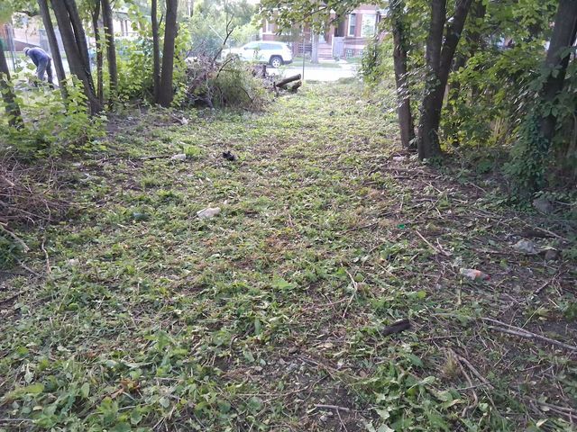 7149 S Champlain Avenue, Chicago, IL 60619