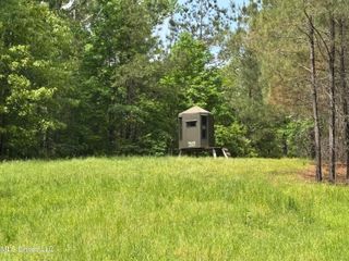 2048 Ashley Road, Hazlehurst, MS 39083