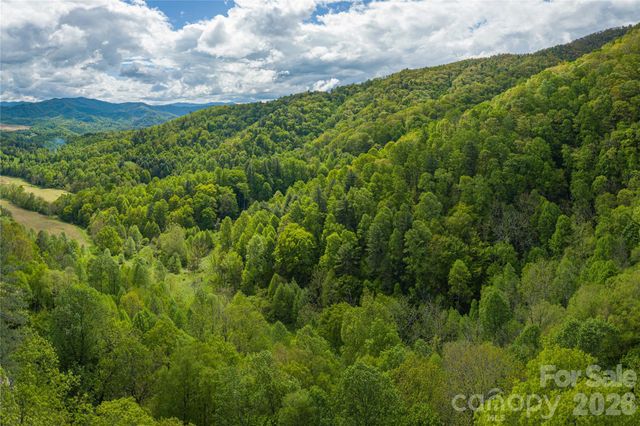 9999 Off Hurricane Ridge Trace, Clyde, NC 28721