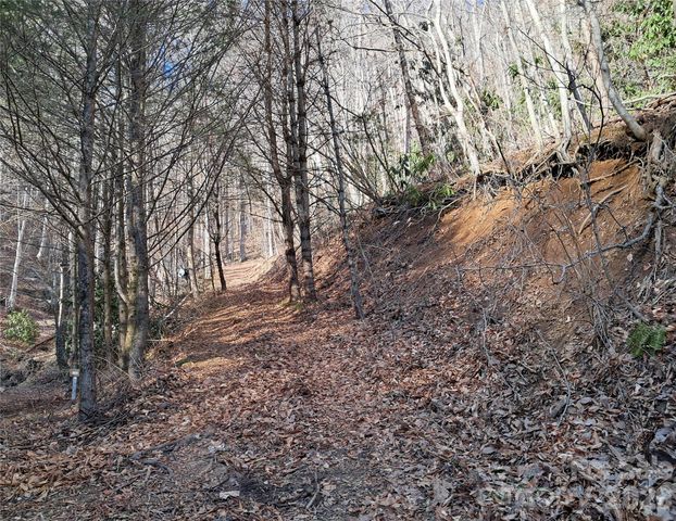 9999 Off Hurricane Ridge Trace, Clyde, NC 28721