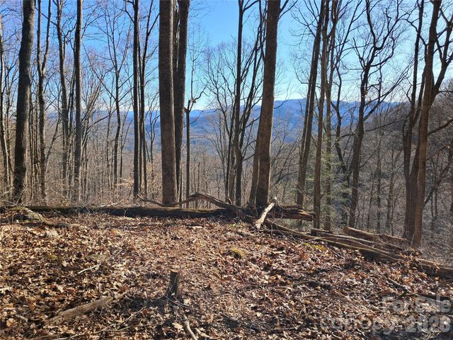9999 Off Hurricane Ridge Trace, Clyde, NC 28721