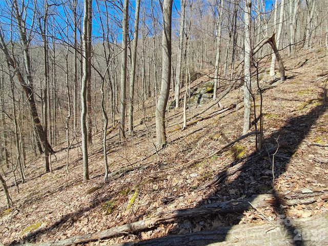 9999 Off Hurricane Ridge Trace, Clyde, NC 28721