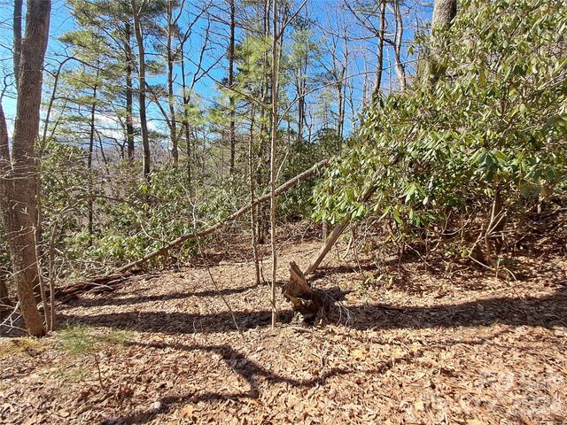 9999 Off Hurricane Ridge Trace, Clyde, NC 28721