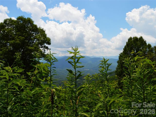9999 Off Hurricane Ridge Trace, Clyde, NC 28721