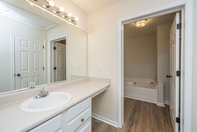 1523 Blaze Lane, Charleston, SC 29412