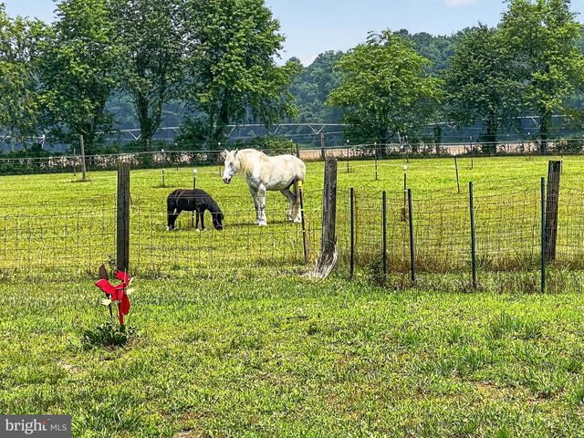 12855 WHITESVILLE RD, Delmar, DE 19940