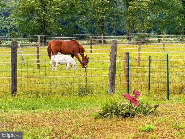 12855 WHITESVILLE RD, Delmar, DE 19940