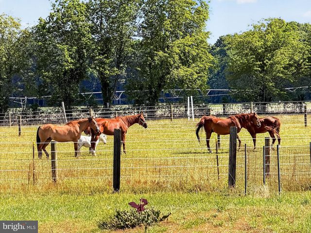12855 WHITESVILLE RD, Delmar, DE 19940