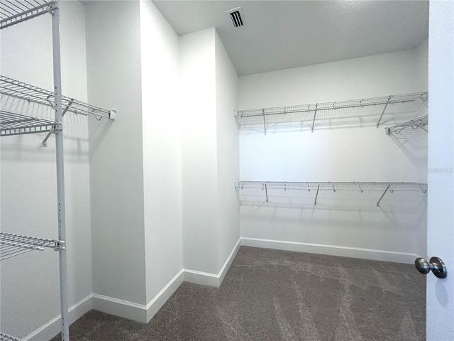 15125 BLUE PEACOCK LANE, Winter Garden, FL 34787